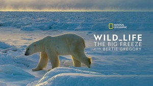 Wild Life: The Big Freeze háttérkép