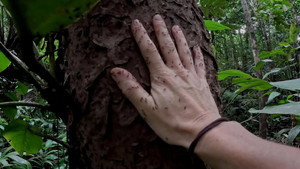 7 vs. Wild 5. évad Ep.3 3. epizód