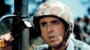 Gomer Pyle, U.S.M.C. kép