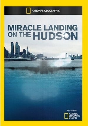 Miracle Landing on the Hudson poszter