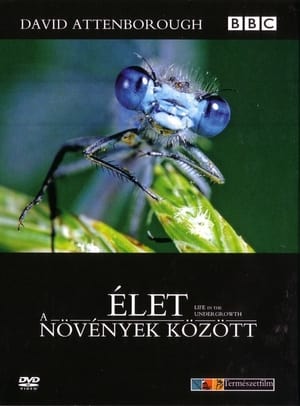 Élet a növények között - A gerinctelenek világa