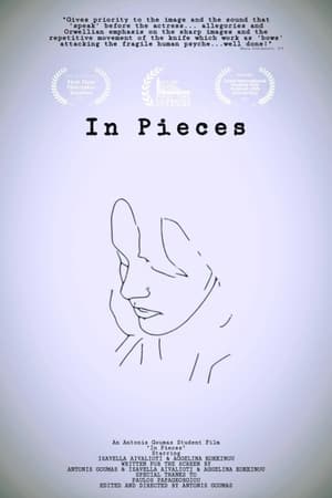 In Pieces poszter