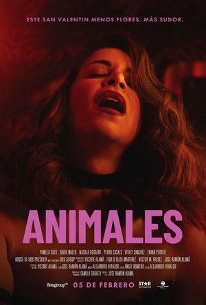 Animales poszter