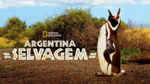 Vad Argentína kép