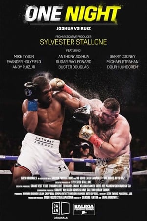 One Night: Joshua vs. Ruiz poszter