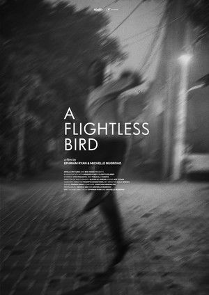 A Flightless Bird poszter