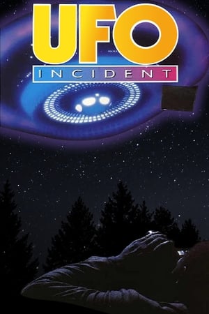 The UFO Incident poszter