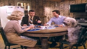 Here's Boomer Season 1 Ep.18 18. epizód