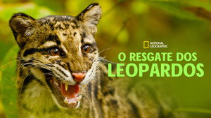 Return of the Clouded Leopards háttérkép