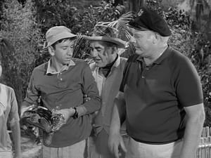 Gilligan's Island 1. évad Ep.28 28. epizód