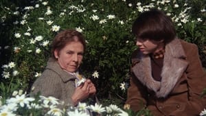 Harold és Maude háttérkép