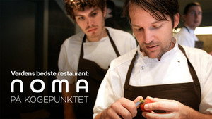 Noma på kogepunktet háttérkép