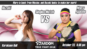 STARDOM TRUE FIGHT 2018 háttérkép