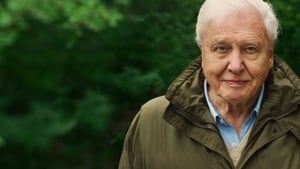 David Attenborough: Egy élet a bolygónkon háttérkép