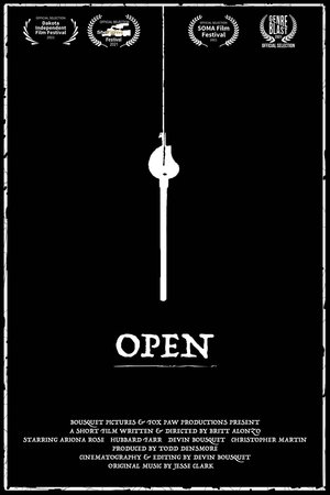 Open poszter