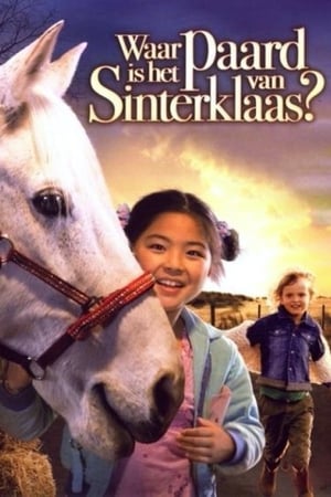 Waar is het paard van Sinterklaas? poszter