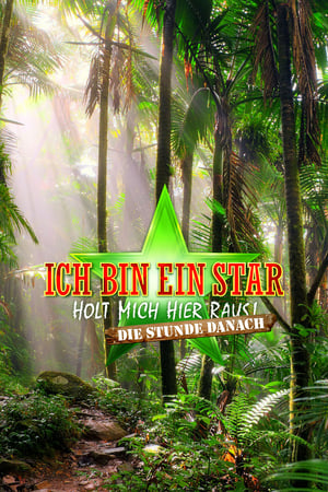 Ich bin ein Star – Die Stunde danach poszter