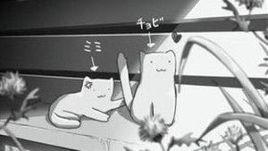 彼女と彼女の猫 háttérkép