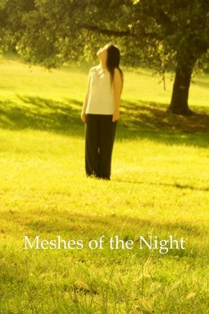 Meshes Of The Night poszter