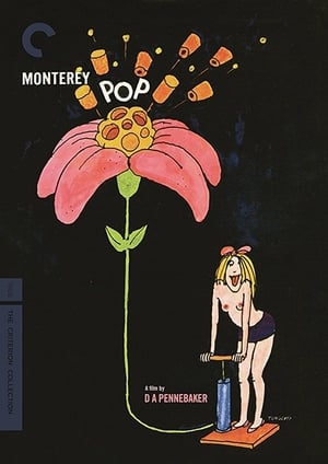 Monterey Pop poszter