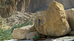 Valley Of Giants háttérkép