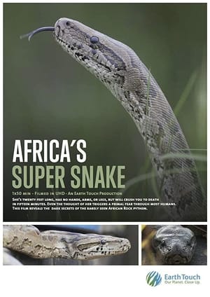 Africa's Super Snake