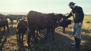 Zöld forradalom: A jövő farmjai kép