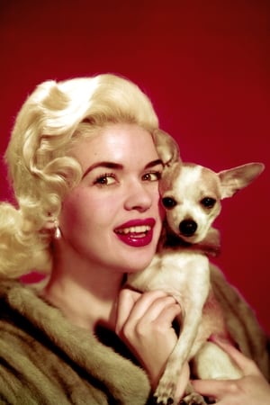 Jayne Mansfield profil kép