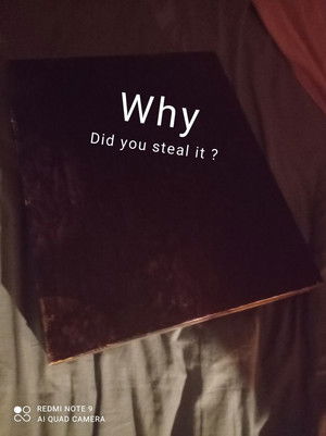 Why did you steal it ? poszter