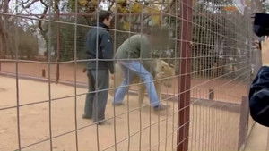 Bear Grylls: Extreme Survival Caught on Camera 1. évad Ep.5 5. epizód