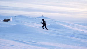 -22.7°C The Far North Musical Experience háttérkép