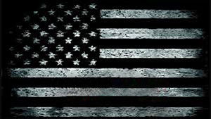 Surviving America háttérkép