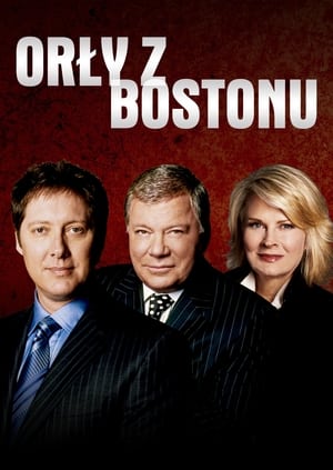 Boston Legal - Jogi játszmák poszter