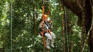 Judi Dench's Wild Borneo Adventure kép