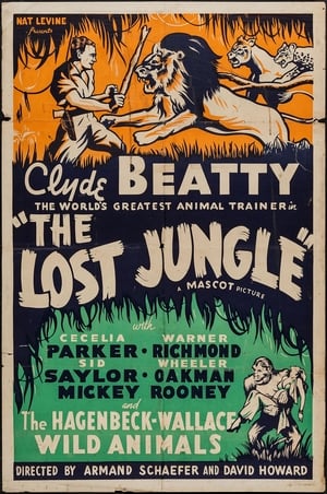 The Lost Jungle