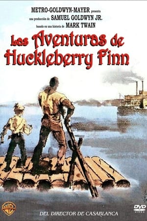 Huckleberry Finn kalandjai poszter