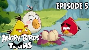 Angry Birds Toons 1. évad Ep.5 5. epizód