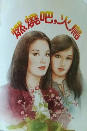 燃燒吧，火鳥 poszter