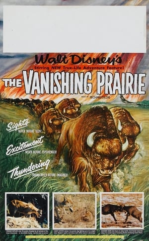 The Vanishing Prairie poszter