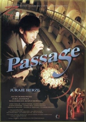 Passage poszter