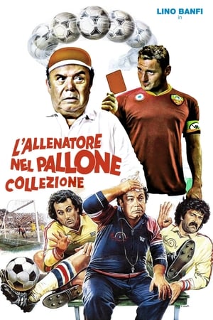 L'allenatore nel pallone - Collezione