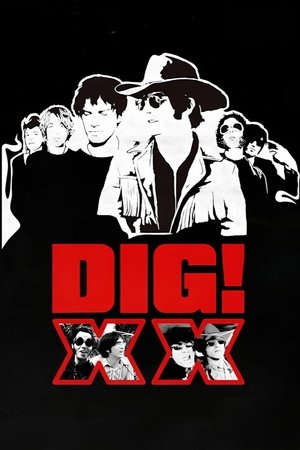DIG! XX poszter