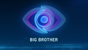 Big Brother kép