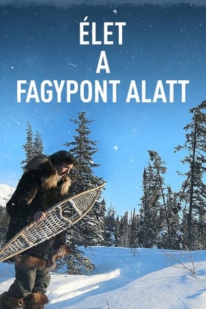 Élet a fagypont alatt