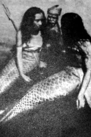 Ikan Doejoeng poszter