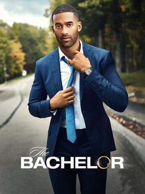 The Bachelor poszter