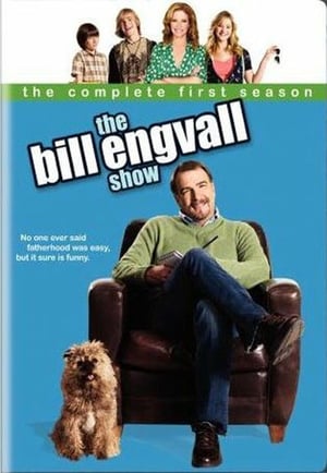 The Bill Engvall Show