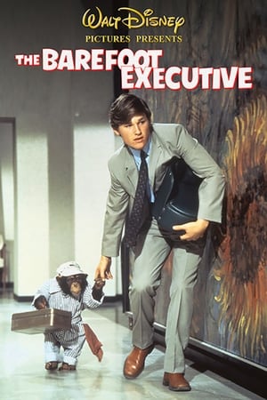 The Barefoot Executive poszter