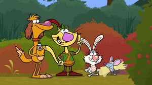 Nature Cat kép