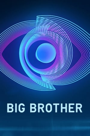 Big Brother poszter